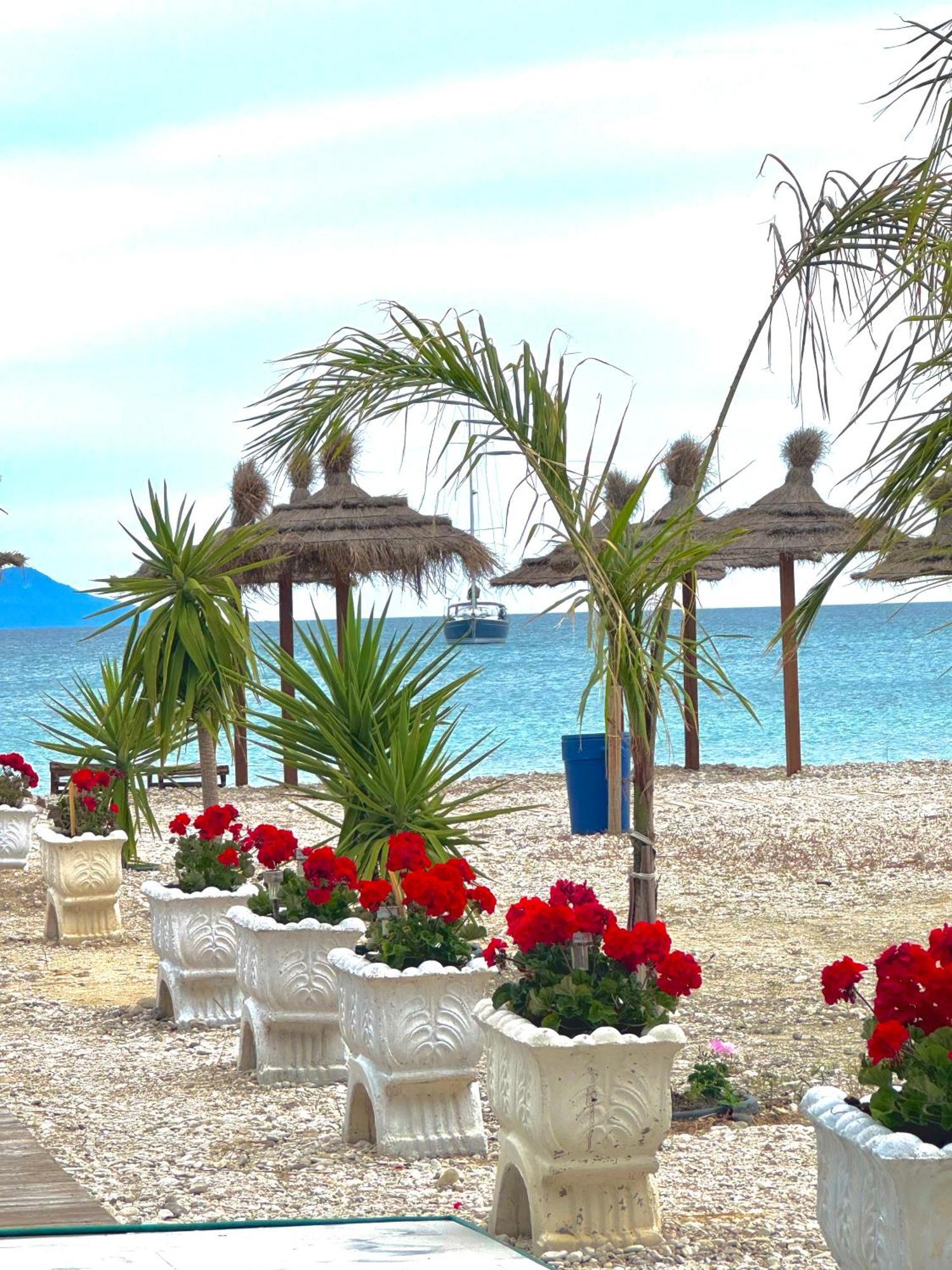 Hotel Blue Paradise